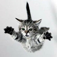 ��� ��������� ���� ��������